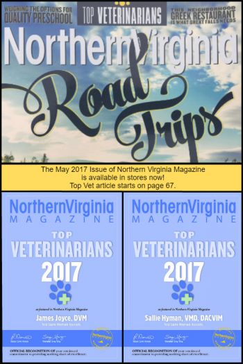 Northern Virginia Road Trips: Top Veterinarians in 2017