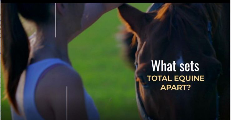 Total Equine Veterinary Associates (TEVA) Commercial